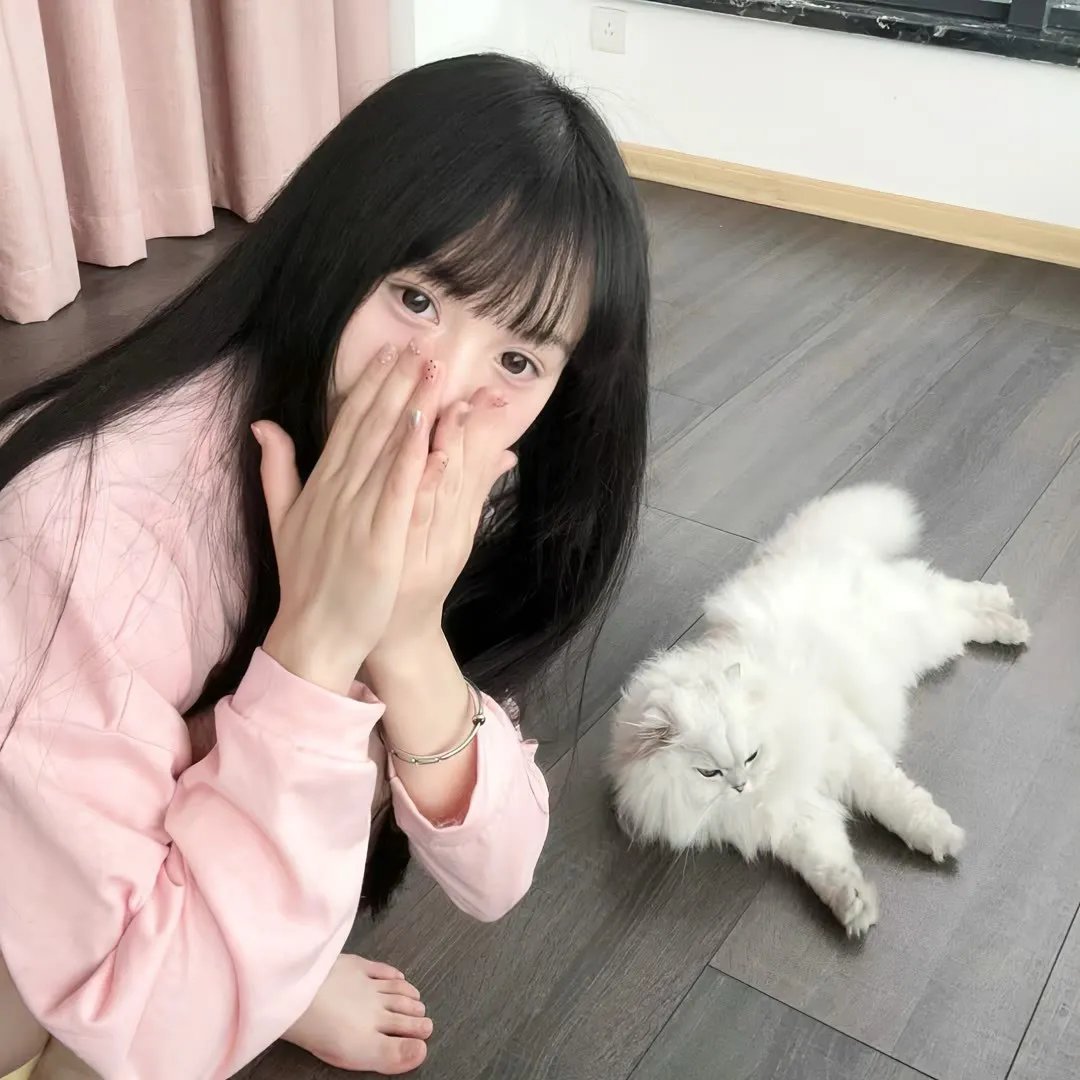 风飞鲨5