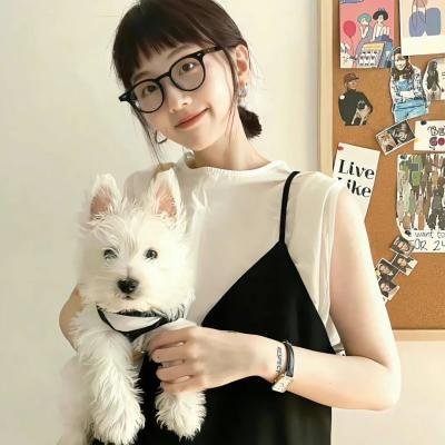斗牛犬续集